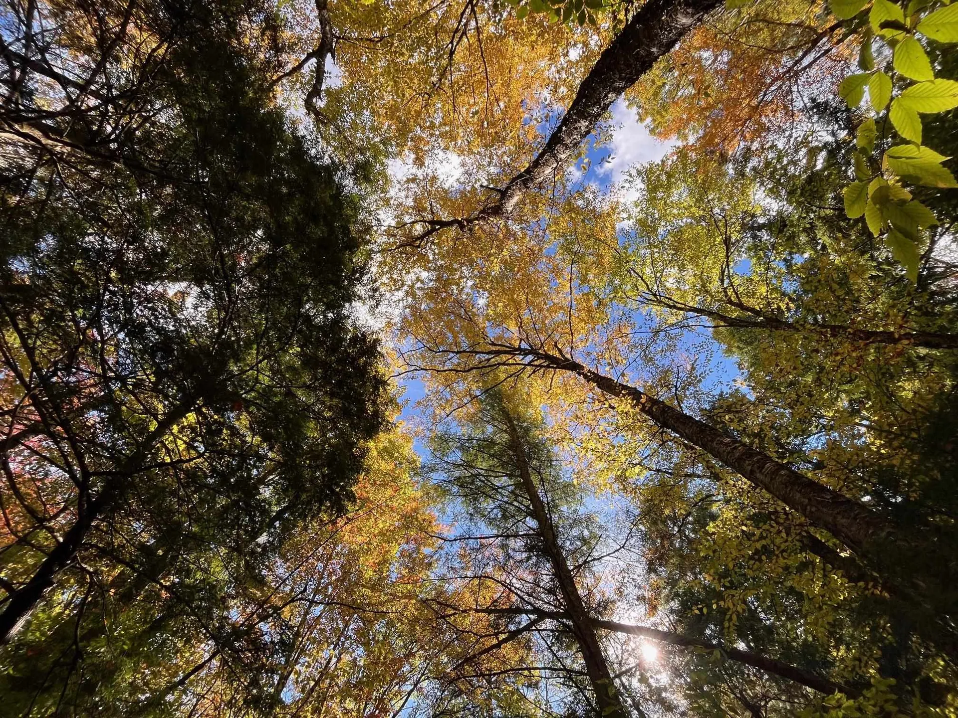 00 German Flats Road Fayston VT 05673