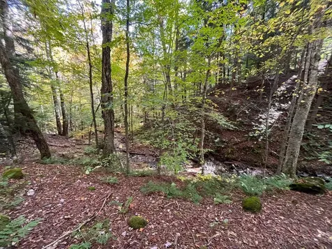 00 German Flats Road Fayston VT 05673