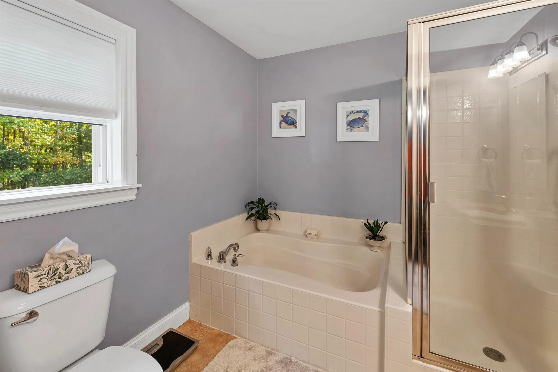 20 Ellis Farm Road Sanbornton NH 03269