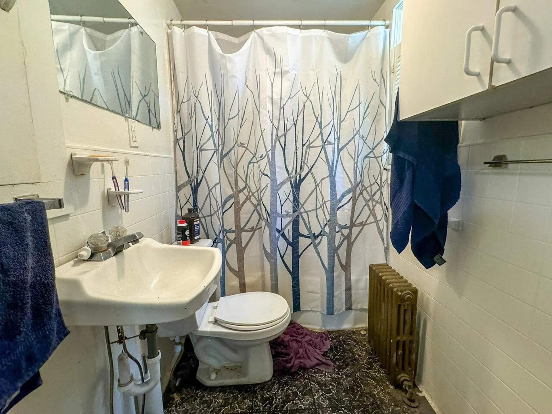 442 North Street Burlington VT 05401