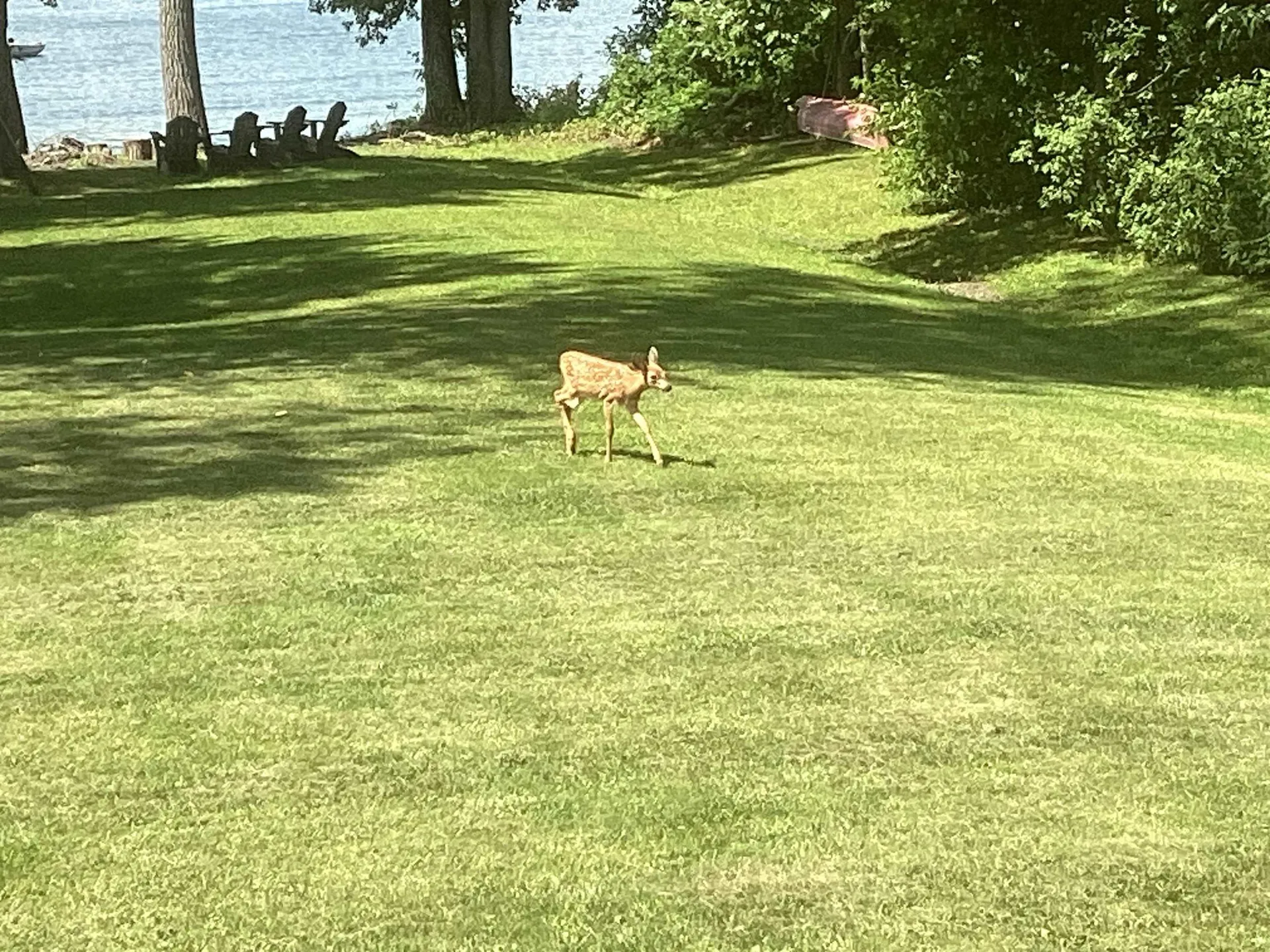 8069 Us Route 2 North Hero VT 05474