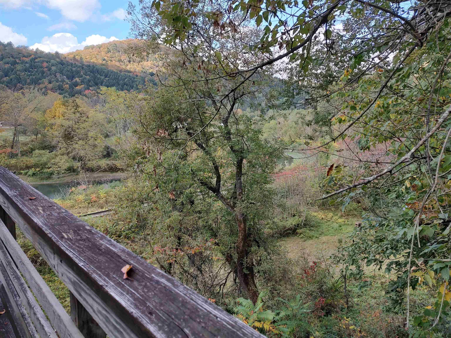 110 Saint Hyacinth Street Bethel VT 05032