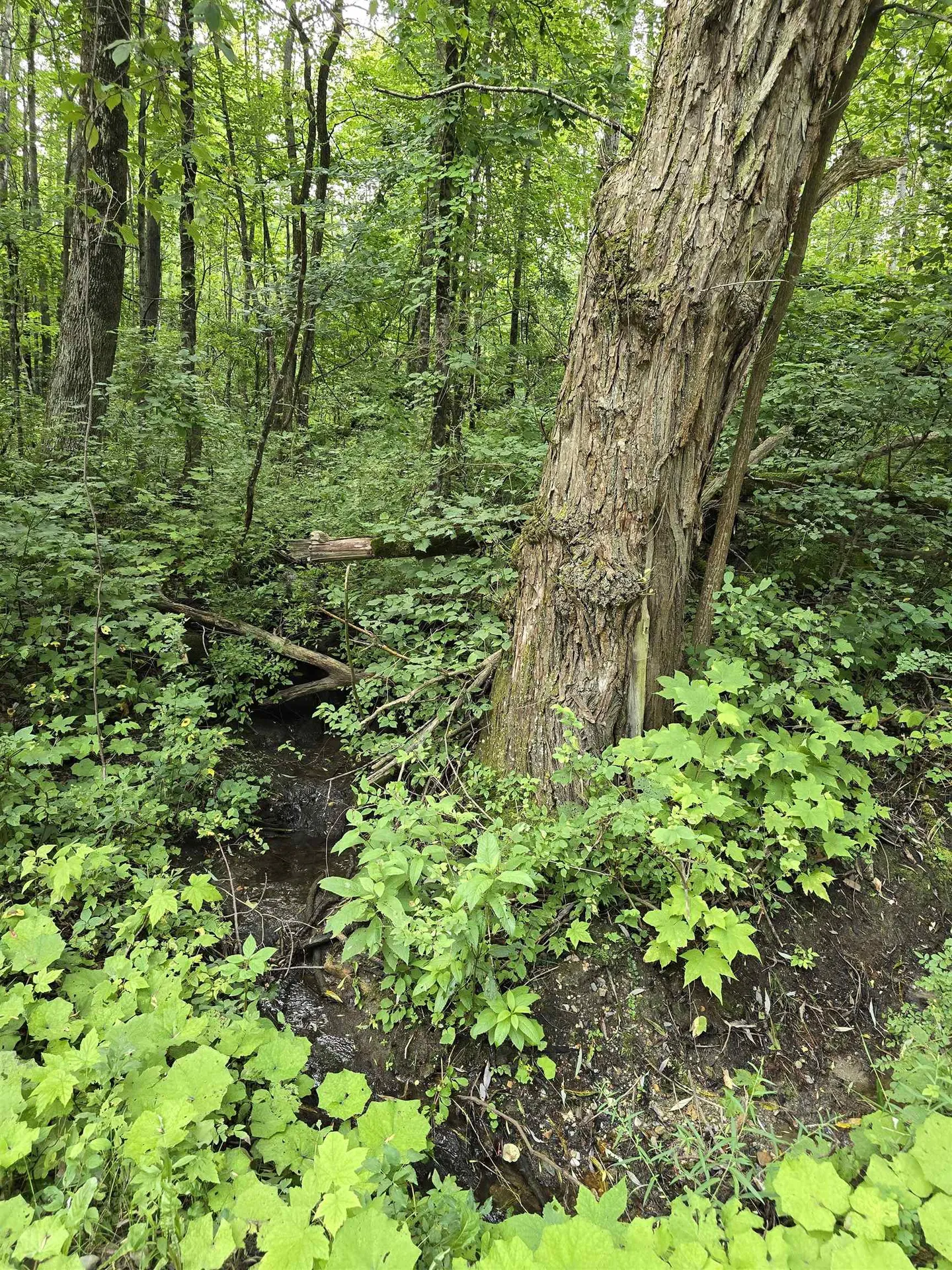 0 Mason Hill Road North Pownal VT 05261-0233