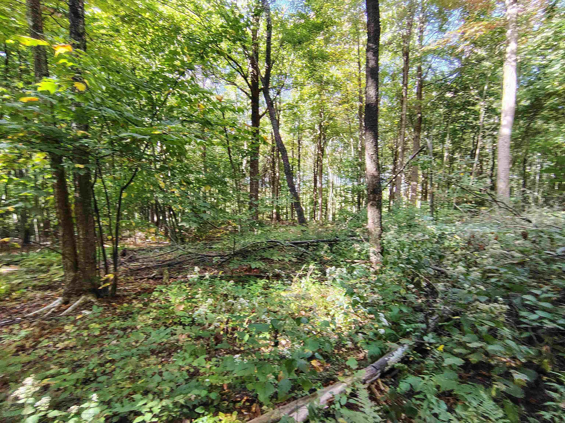 0 Mason Hill Road North Pownal VT 05261-0233