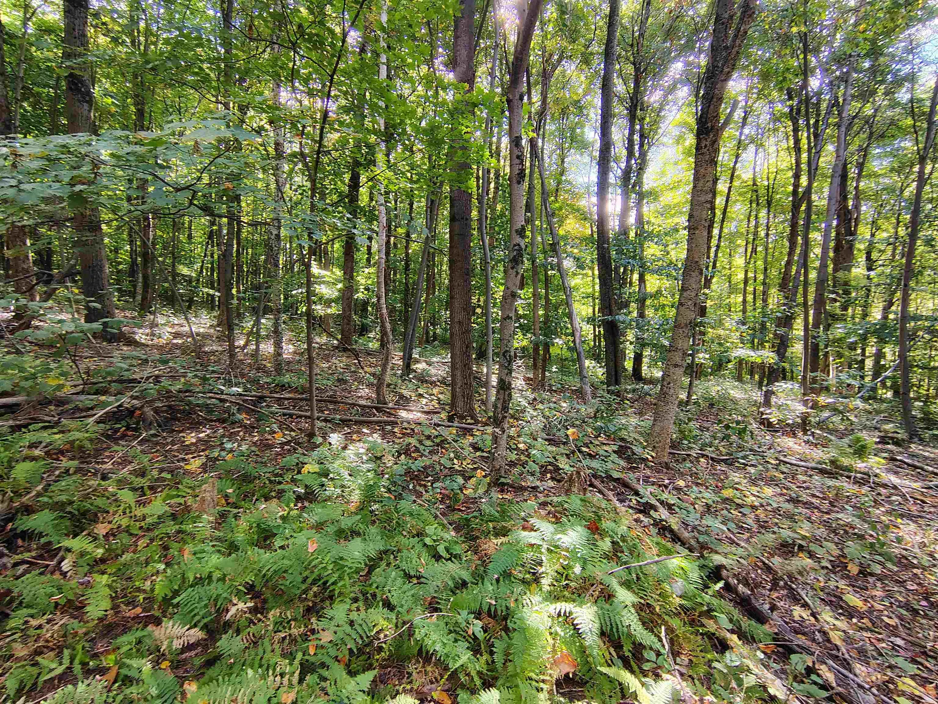 0 Mason Hill Road North Pownal VT 05261-0233