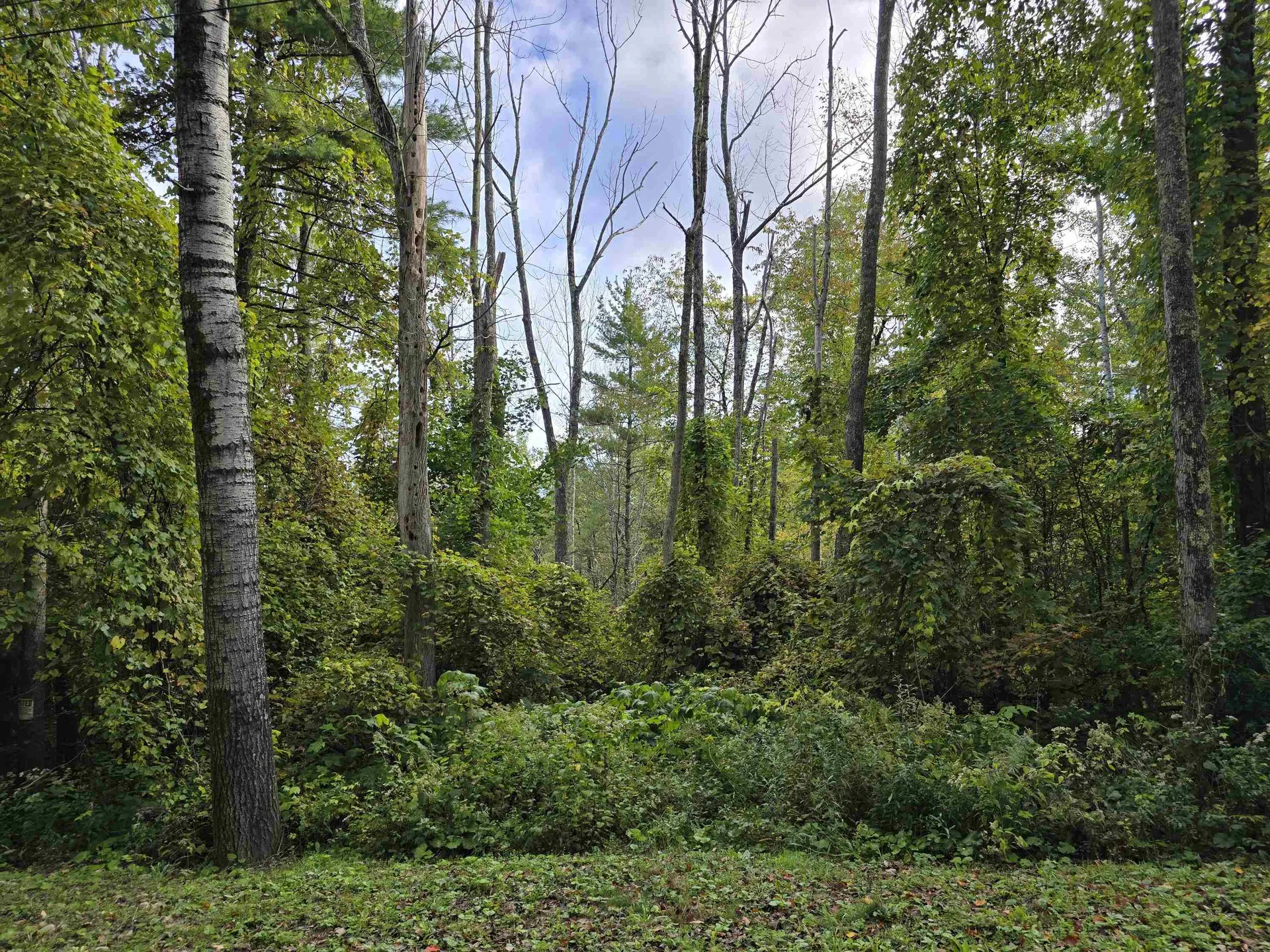 0 Mason Hill Road North Pownal VT 05261-0233