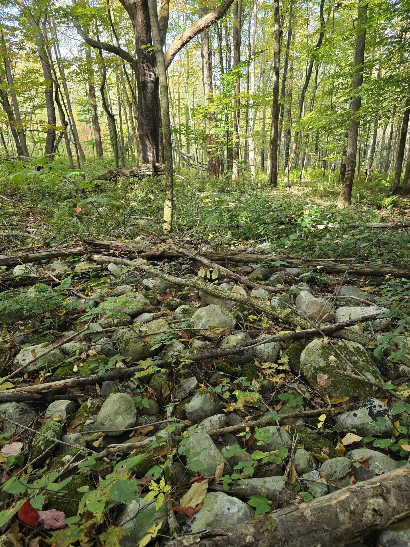 0 Mason Hill Road North Pownal VT 05261-0233