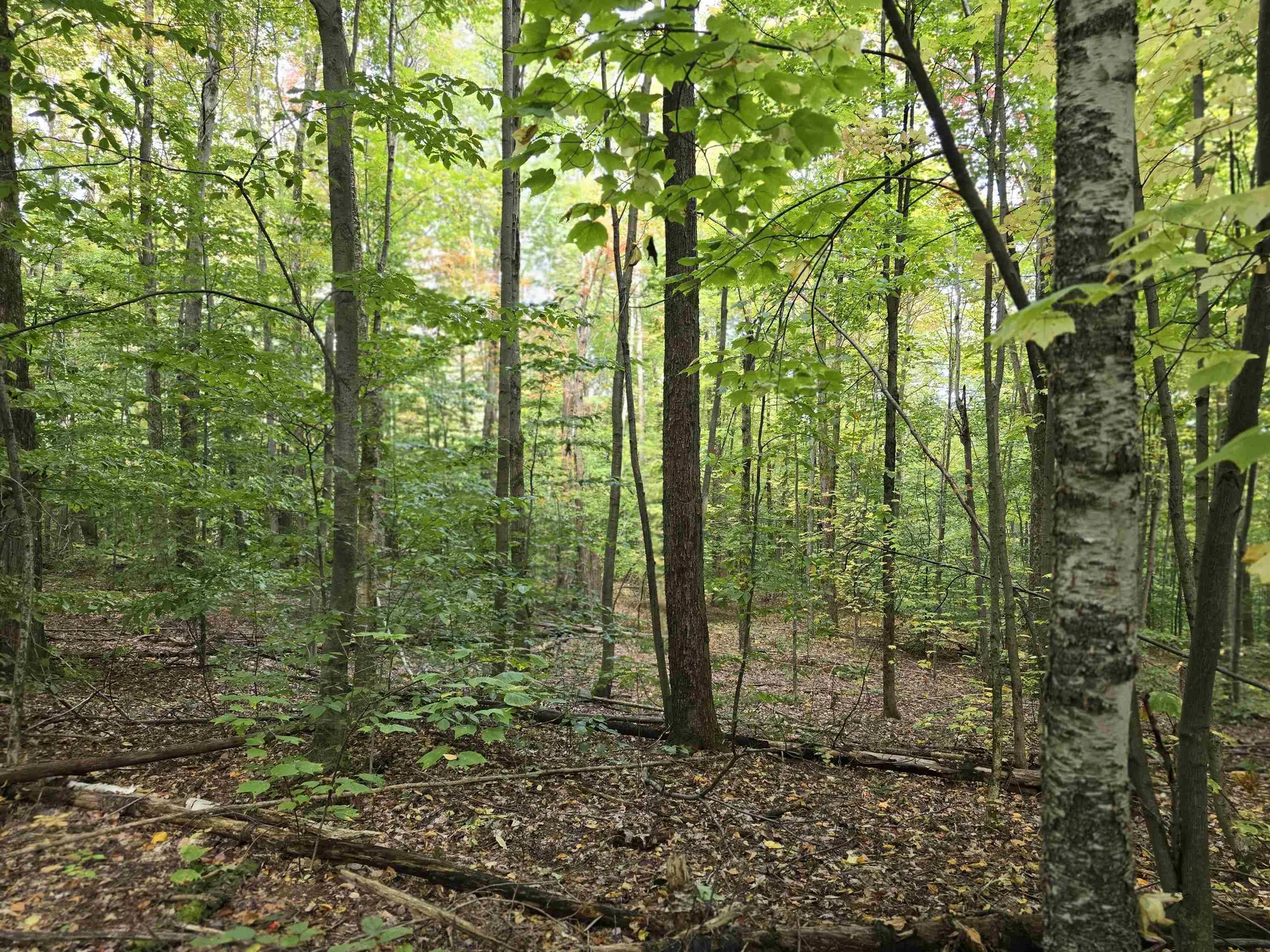 0 Mason Hill Road North Pownal VT 05261-0233