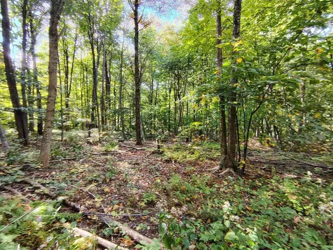 0 Mason Hill Road North Pownal VT 05261-0233