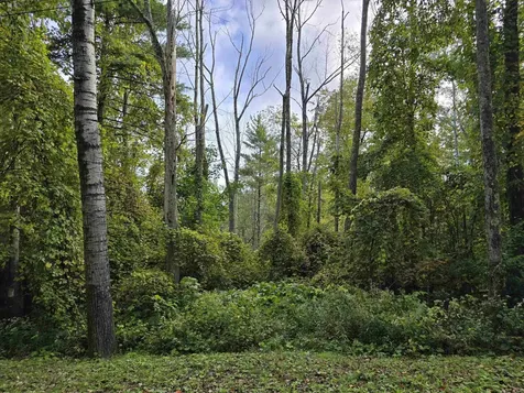 0 Mason Hill Road North Pownal VT 05261-0233