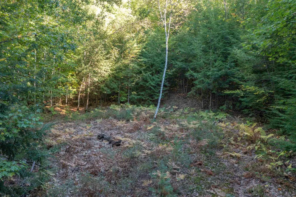 00 Perkins Lane Holderness NH 03245