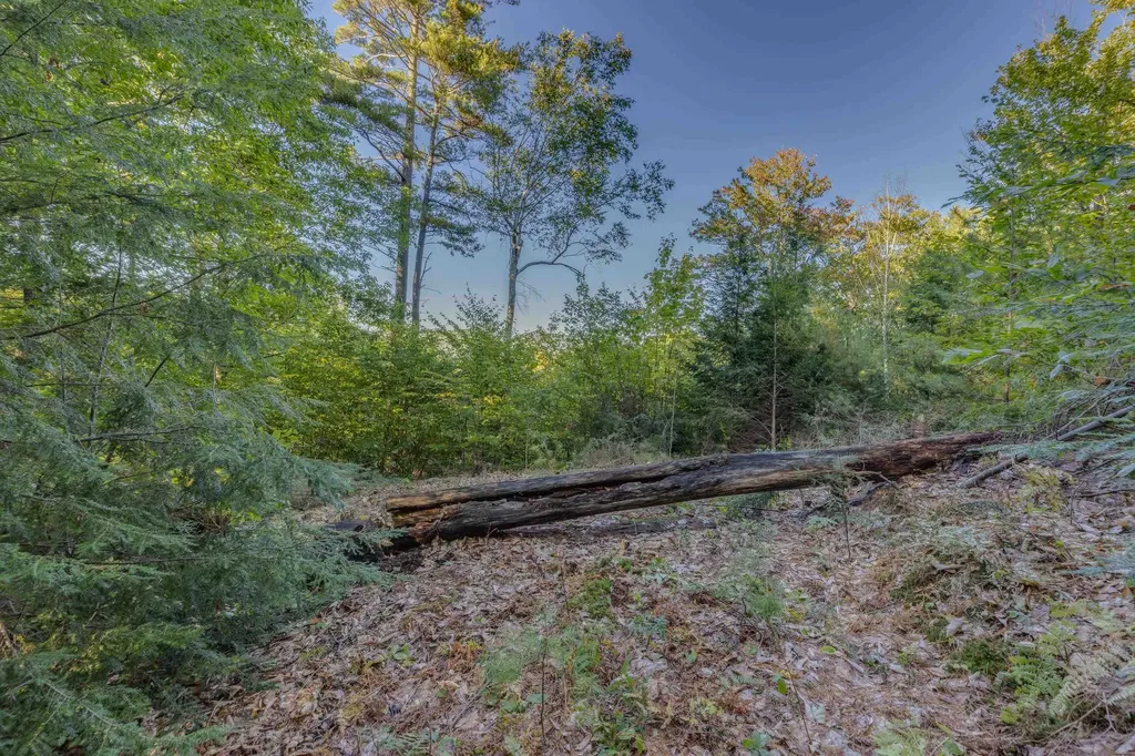 00 Perkins Lane Holderness NH 03245