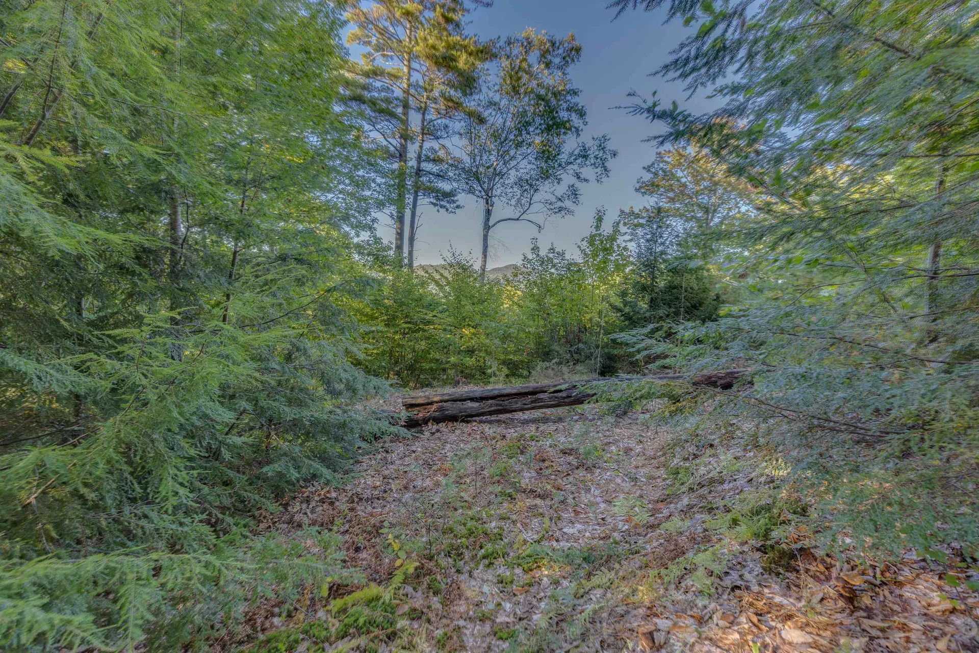 00 Perkins Lane Holderness NH 03245