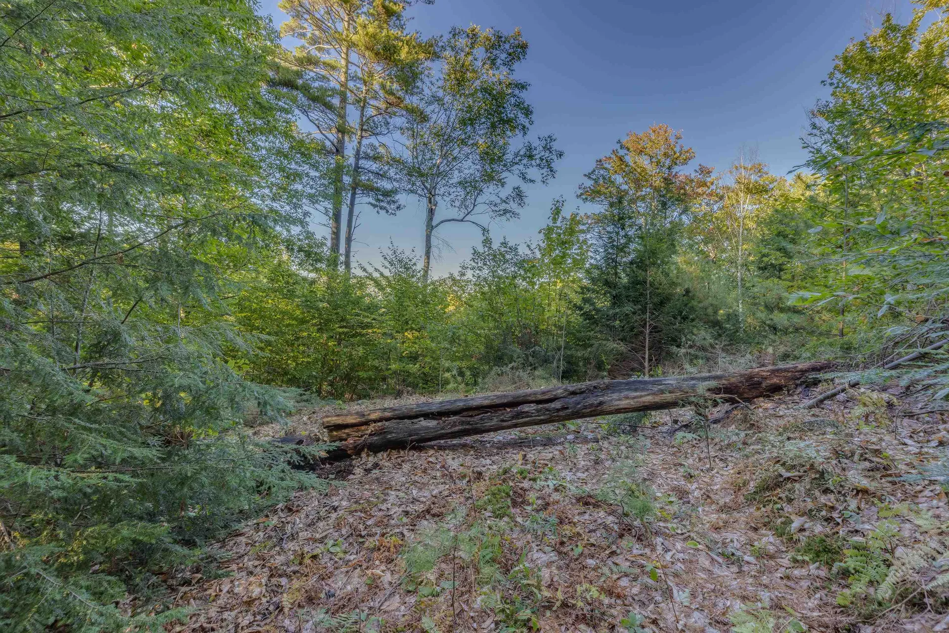 00 Perkins Lane Holderness NH 03245