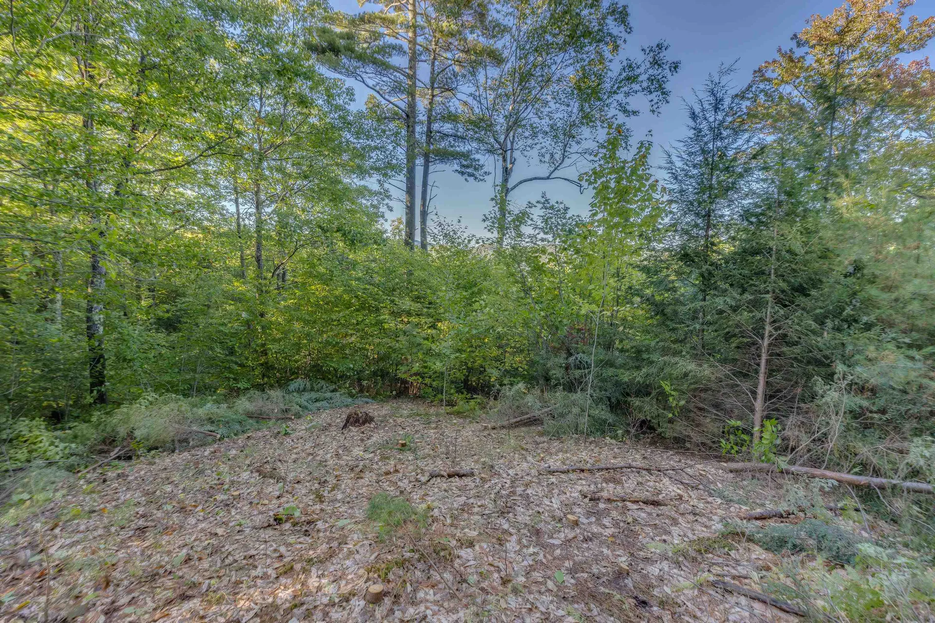 00 Perkins Lane Holderness NH 03245