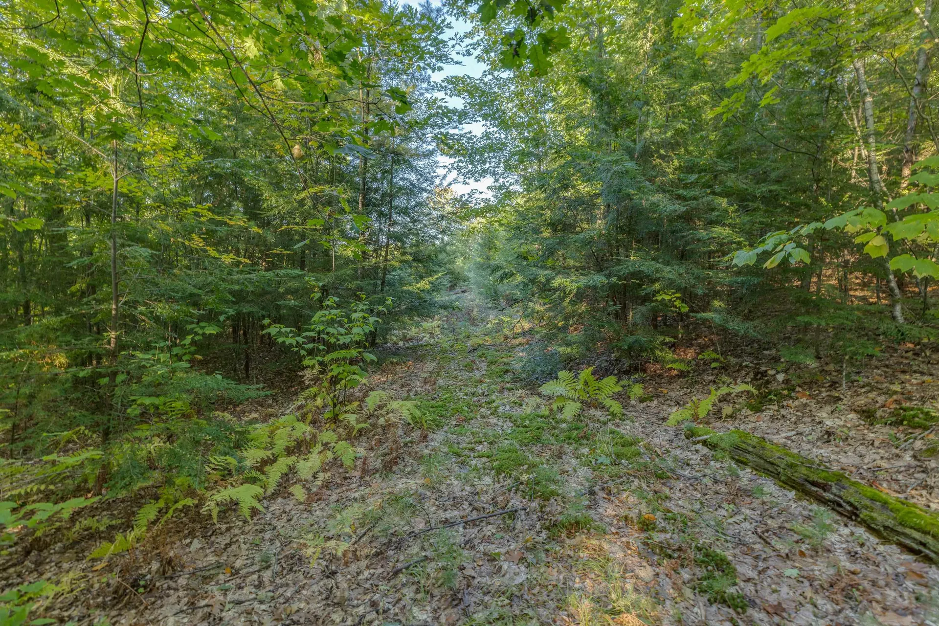 00 Perkins Lane Holderness NH 03245