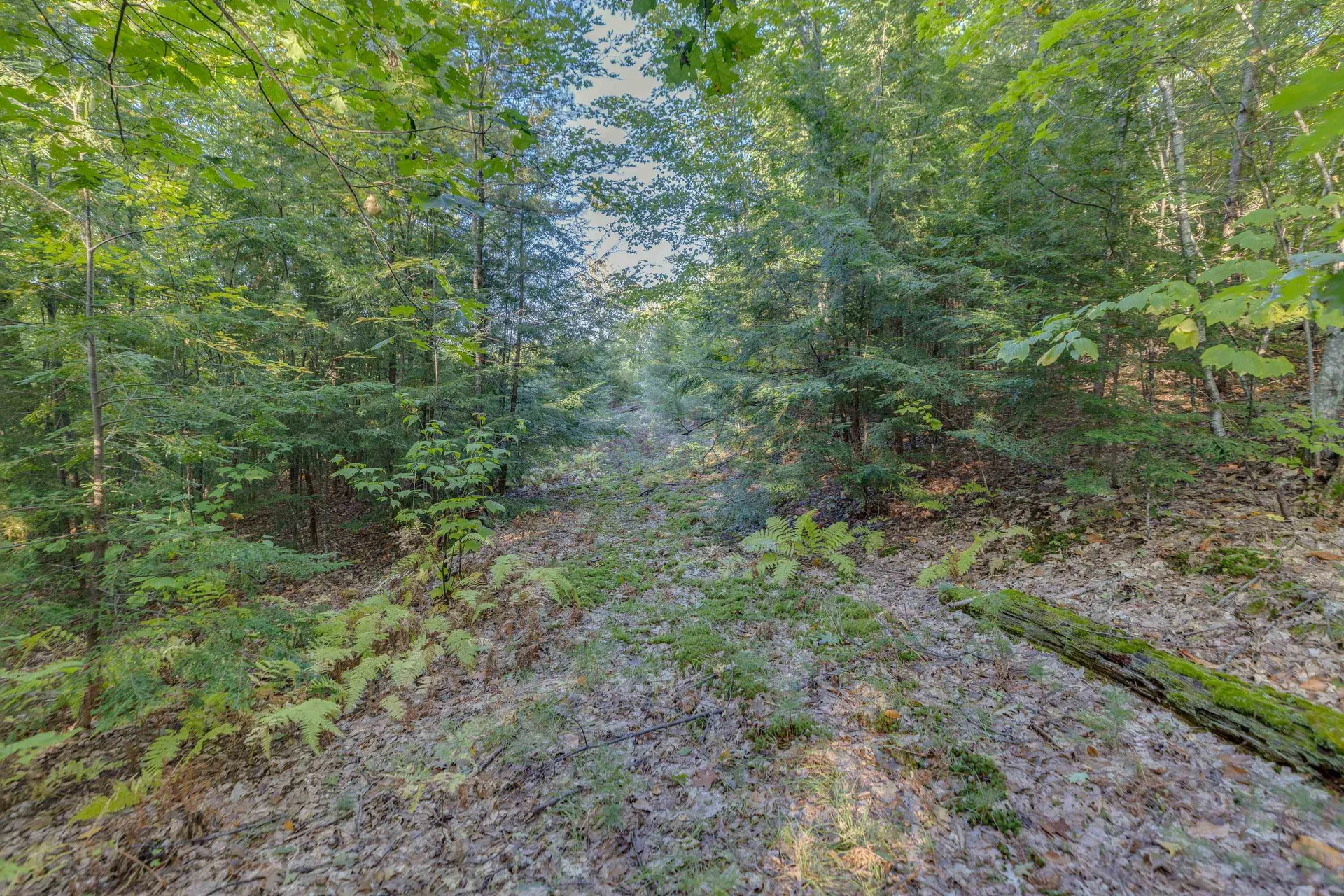 00 Perkins Lane Holderness NH 03245