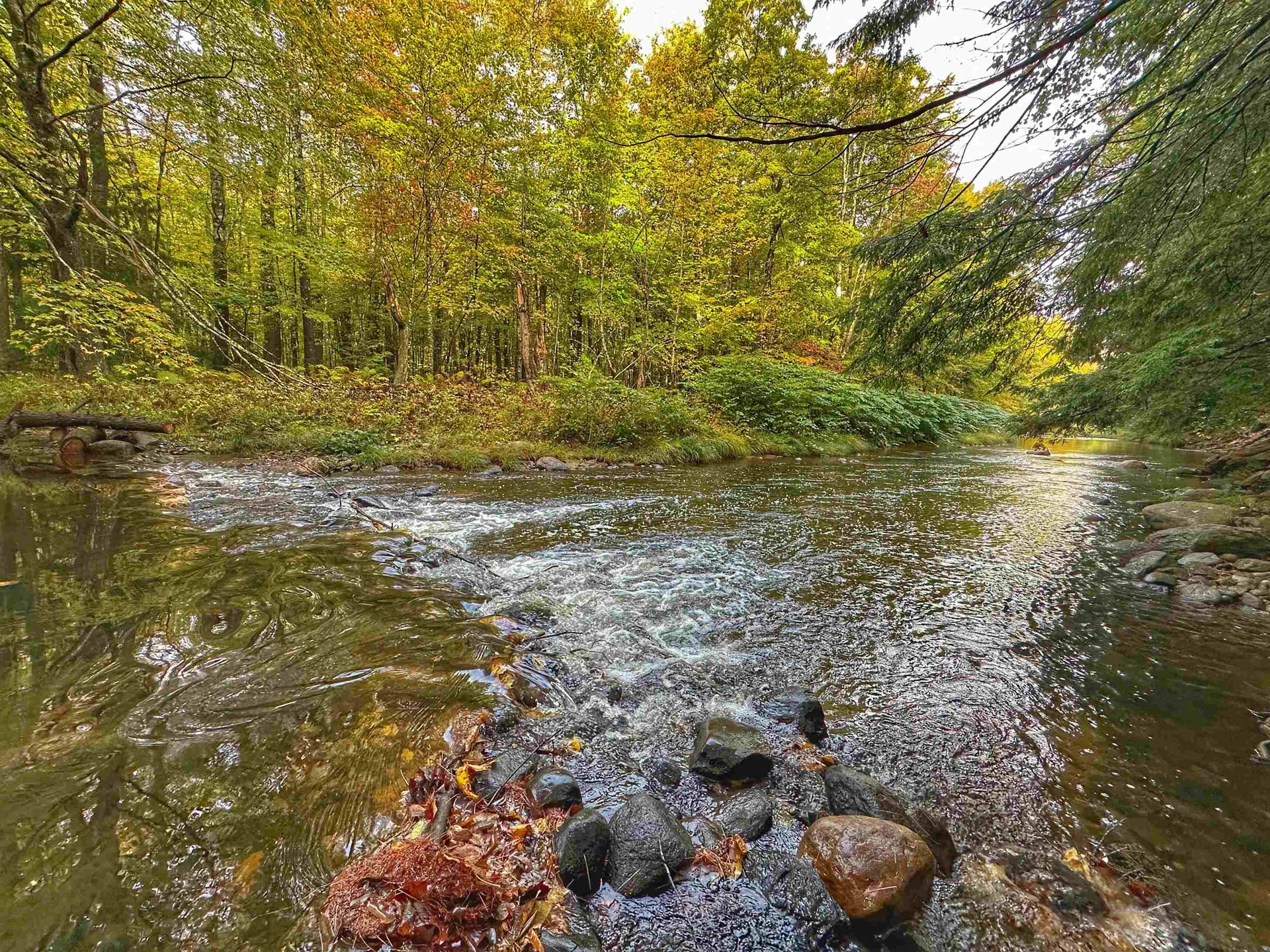 106 Pollards Mill Road Newport NH 03773