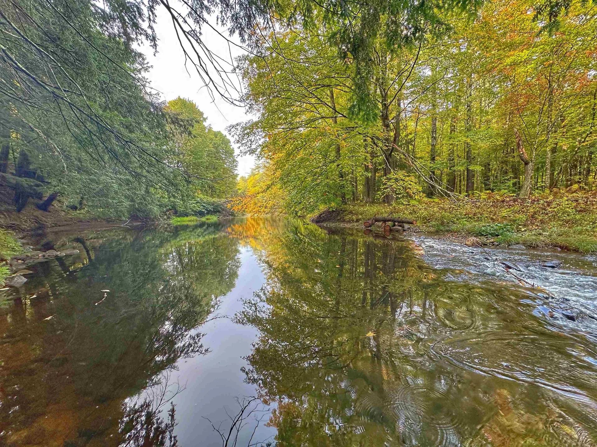 106 Pollards Mill Road Newport NH 03773