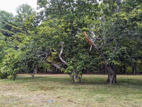 1428 Hopkinton Road Hopkinton NH 03229