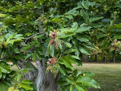 1428 Hopkinton Road Hopkinton NH 03229