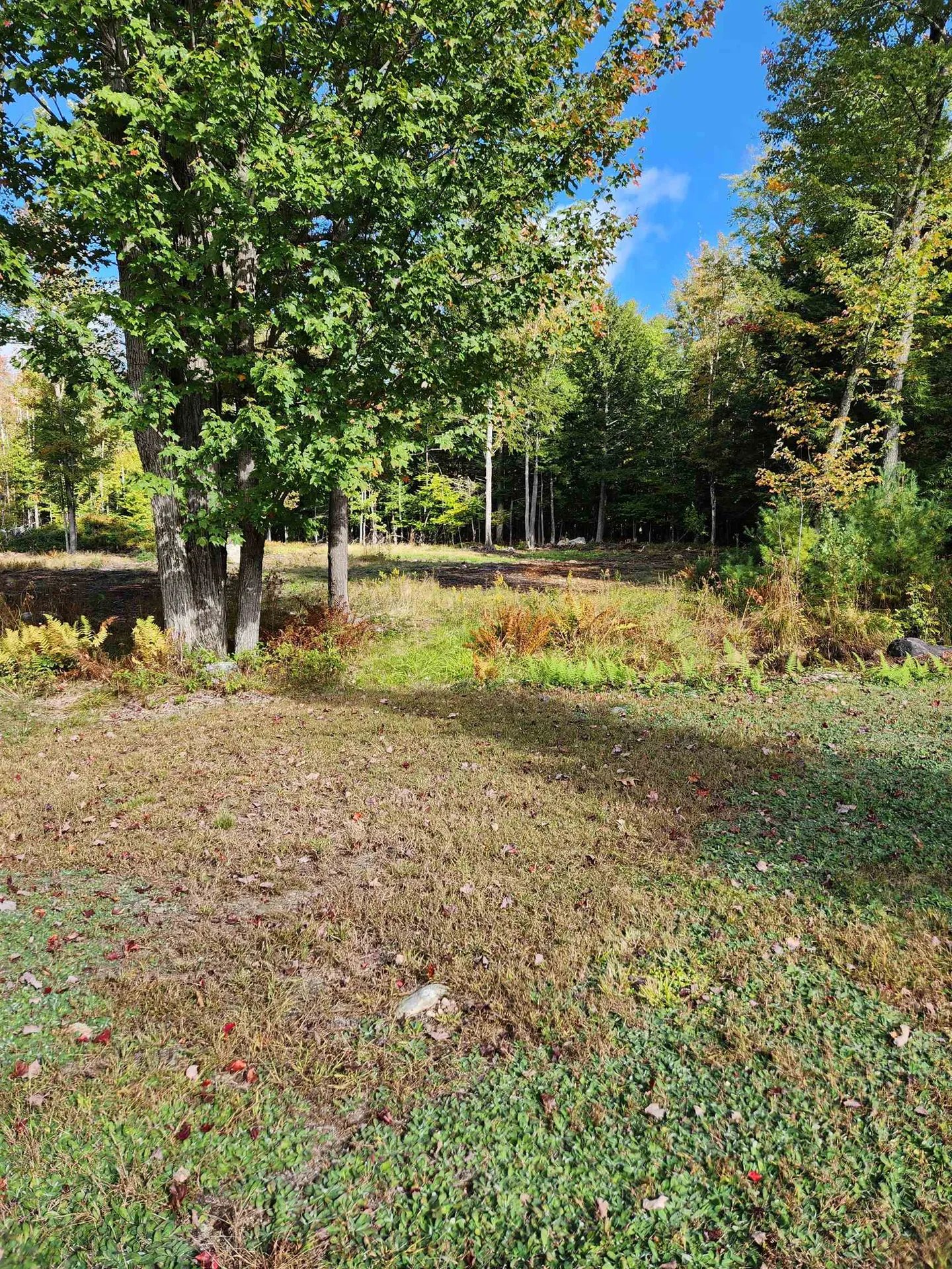 402 Eaton Road Freedom NH 03836