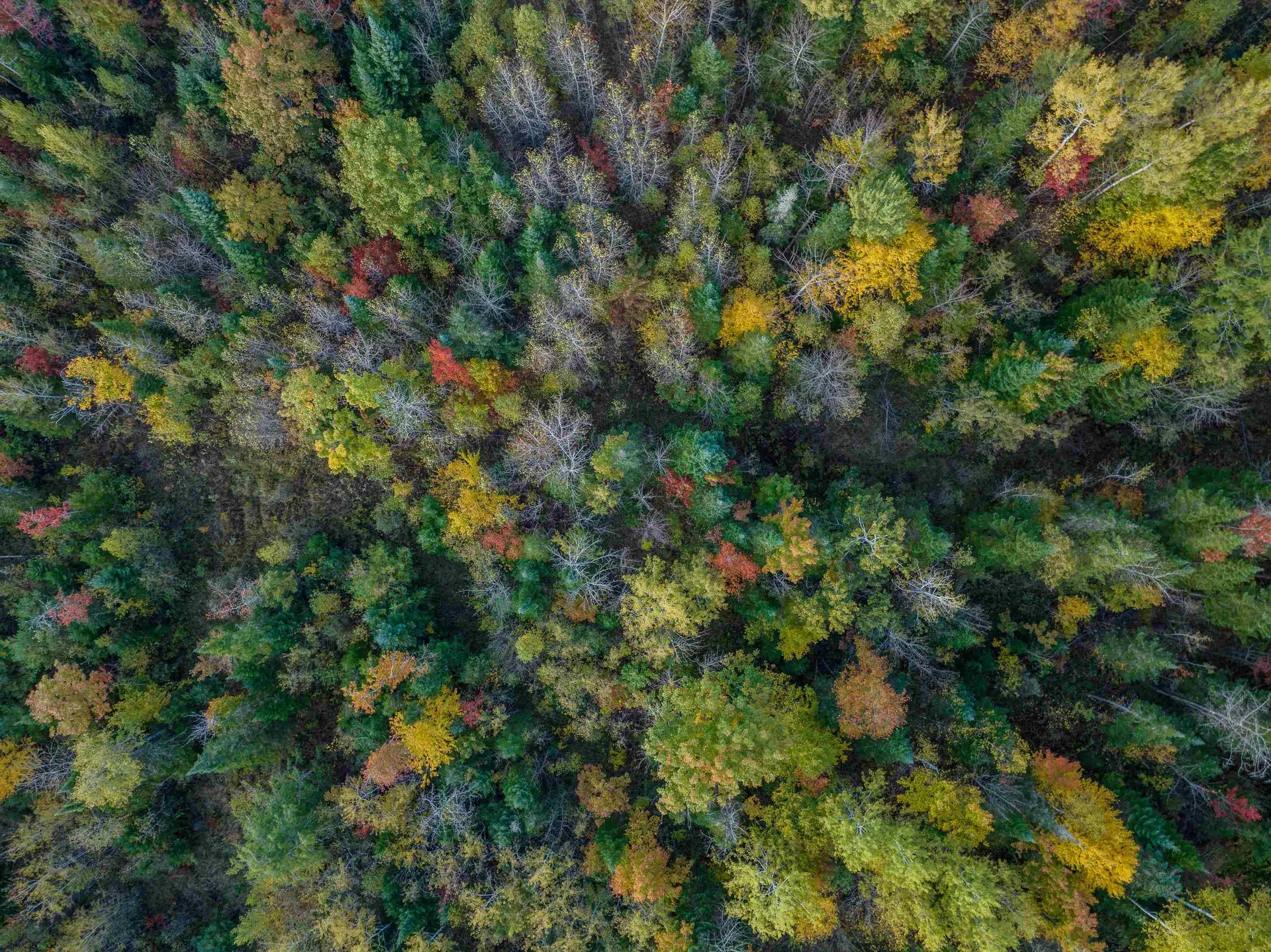 000 N. Littleton Road Littleton NH 03561