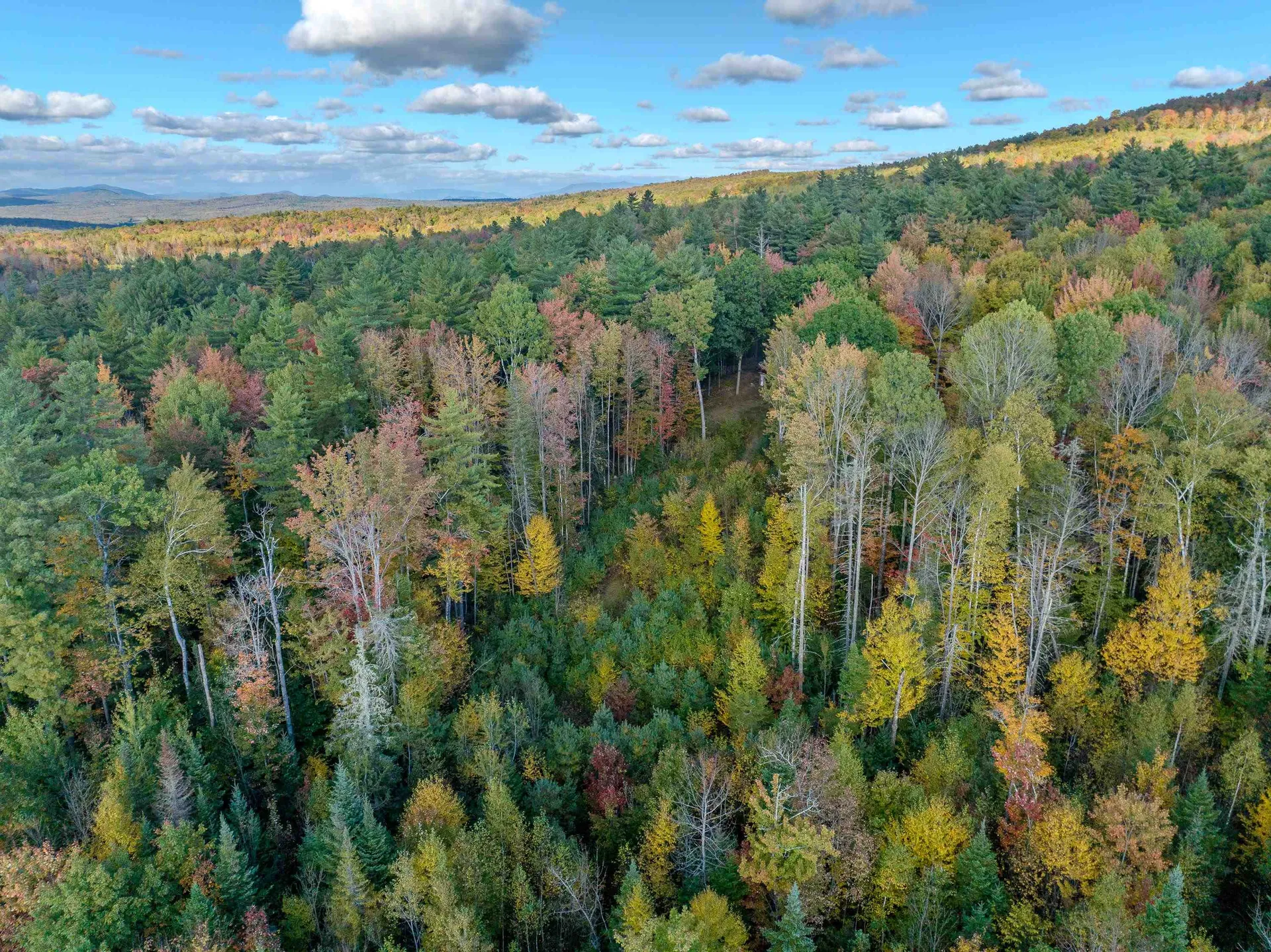 000 N. Littleton Road Littleton NH 03561