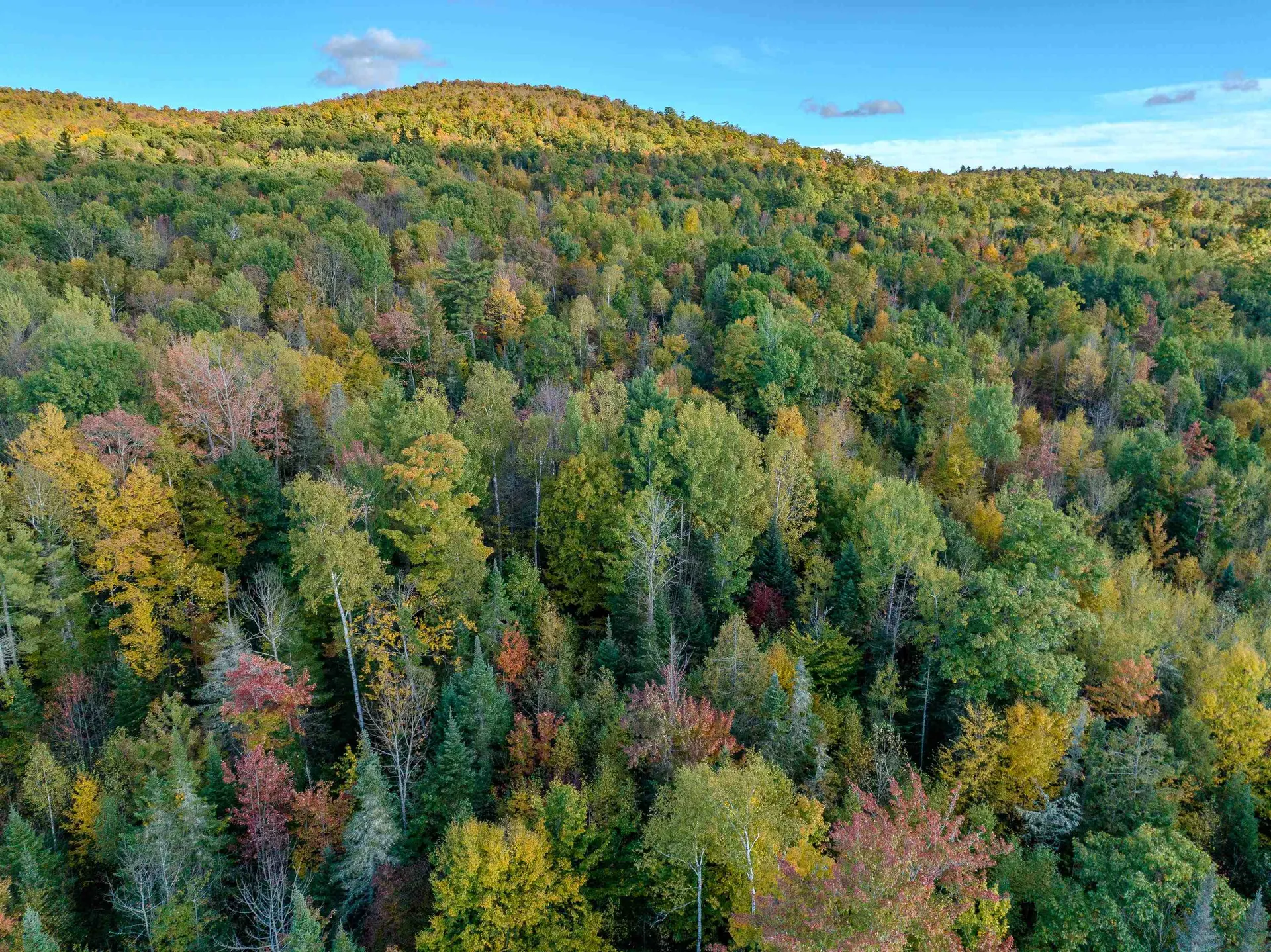 000 N. Littleton Road Littleton NH 03561