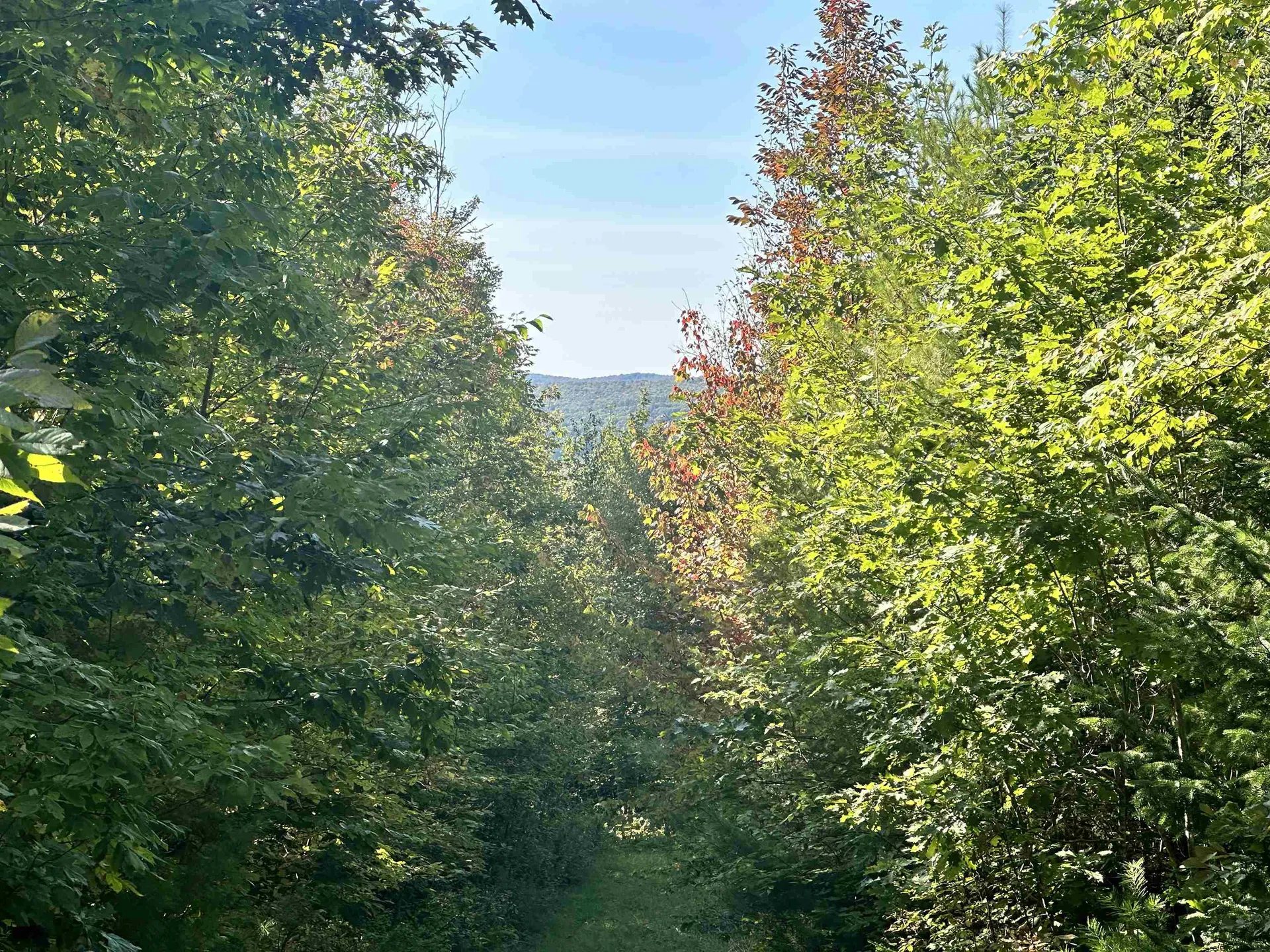 000 N. Littleton Road Littleton NH 03561