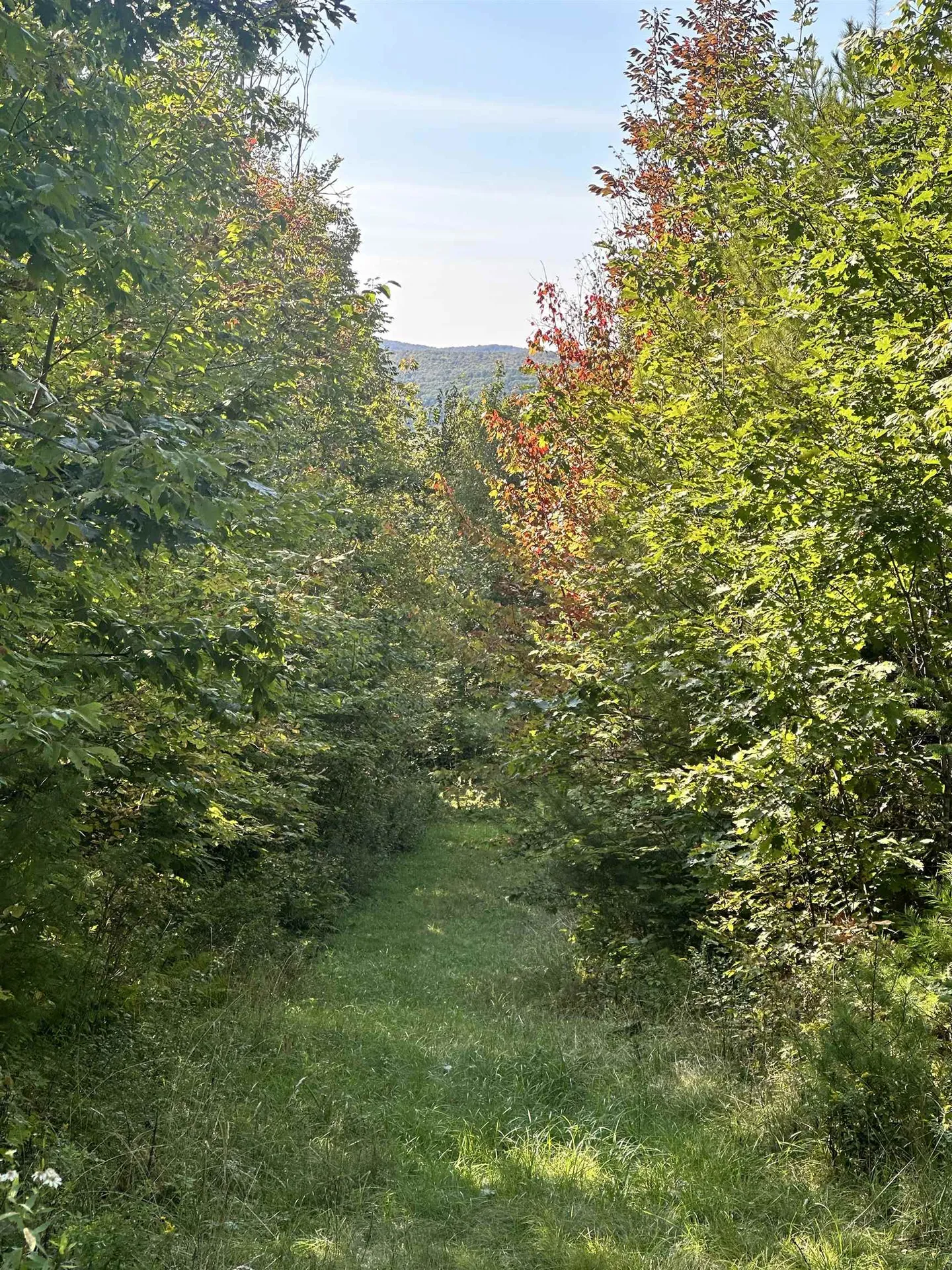 000 N. Littleton Road Littleton NH 03561