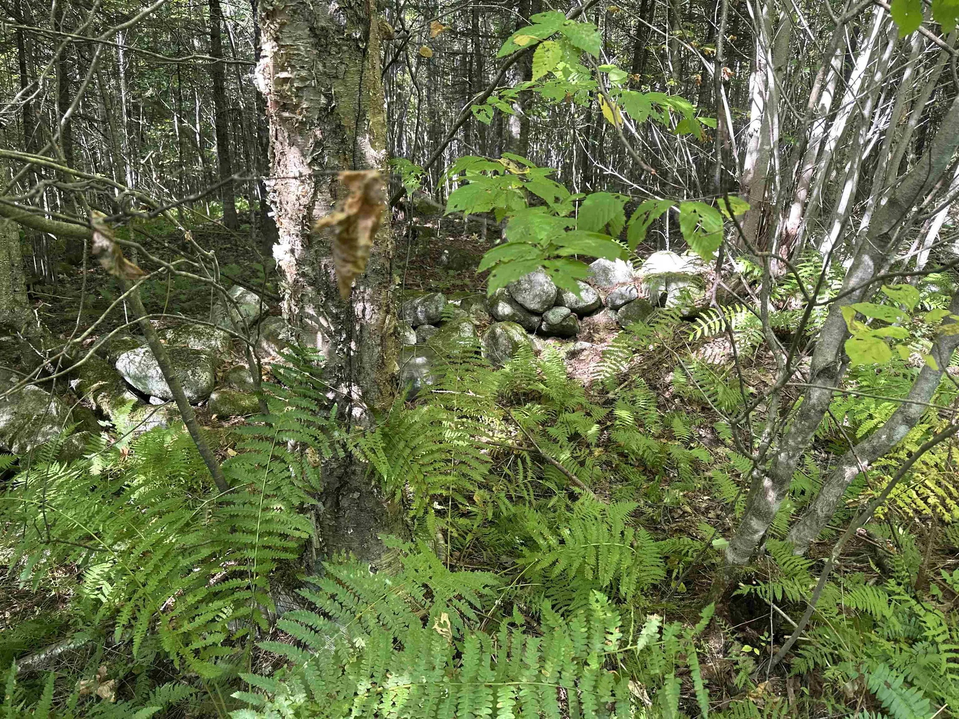 000 N. Littleton Road Littleton NH 03561