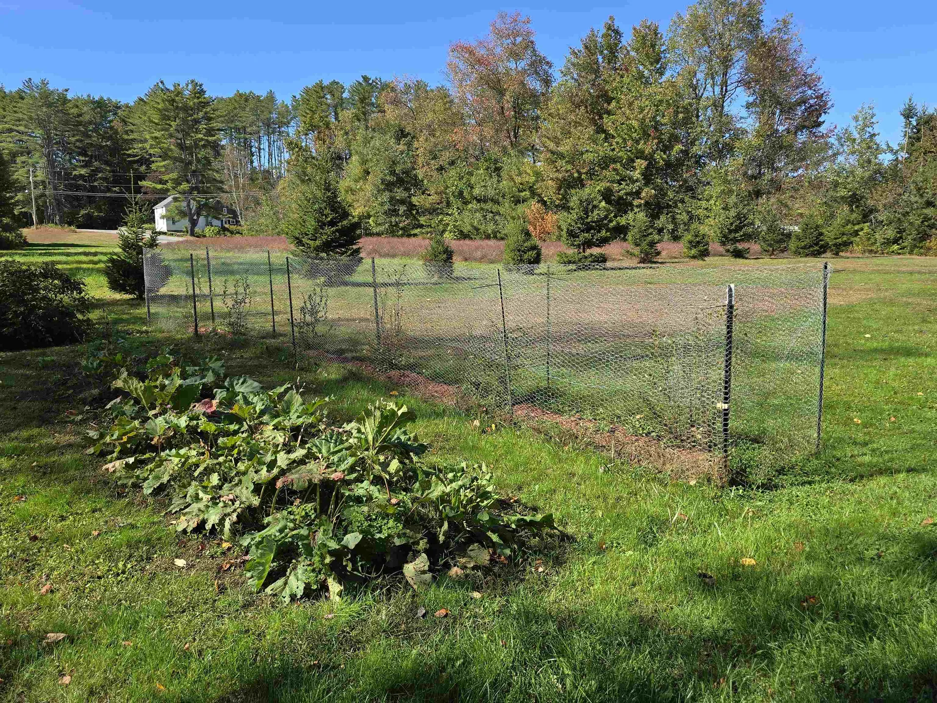 948 High Street Cavendish VT 05142