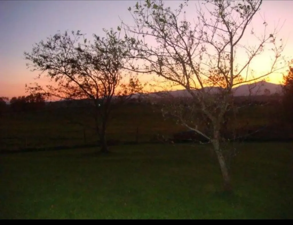 3846 Bear Mountain Road Newport Town VT 05857