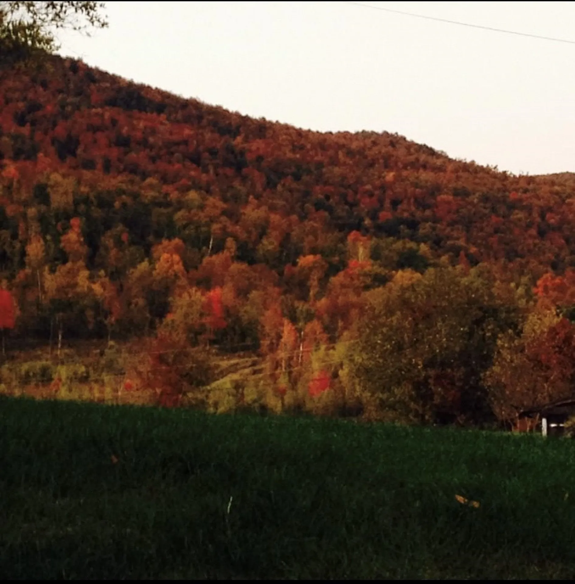 3846 Bear Mountain Road Newport Town VT 05857