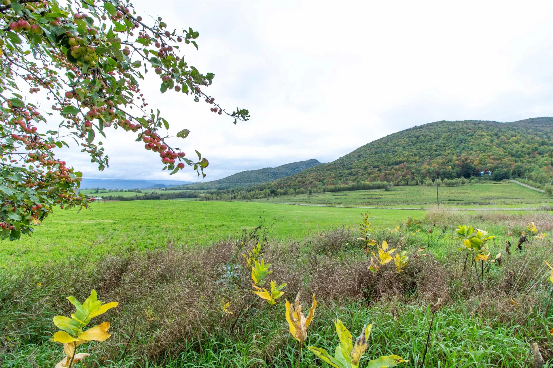 3846 Bear Mountain Road Newport Town VT 05857