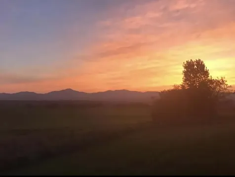 3846 Bear Mountain Road Newport Town VT 05857