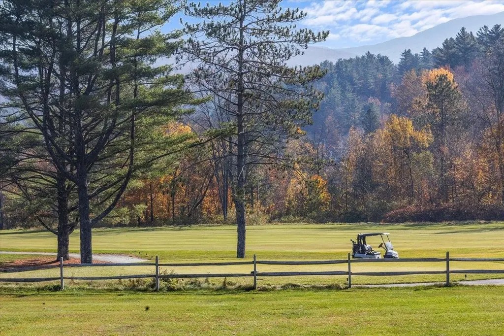 1003 Cape Cod Road Stowe VT 05672