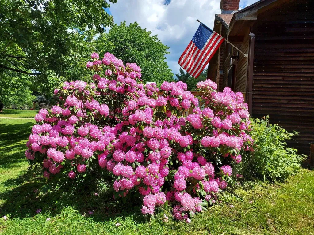 324 North Road Eden VT 05653