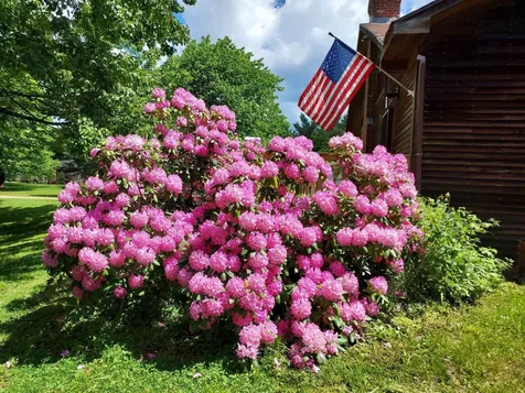 324 North Road Eden VT 05653