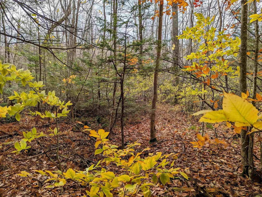 Nicola Road Middleton NH 03887