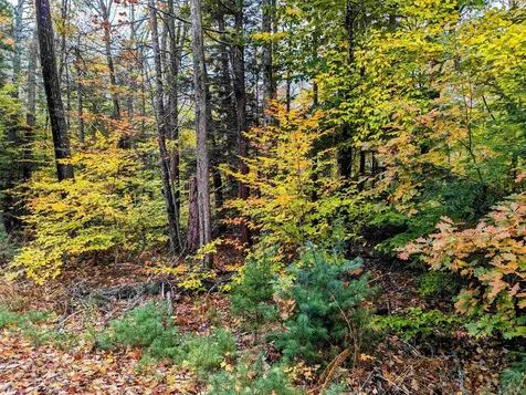 Nicola Road Middleton NH 03887