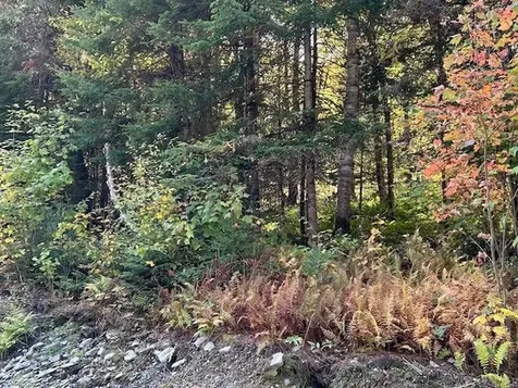 Lot 3 Spooner Road Pittsburg NH 03592