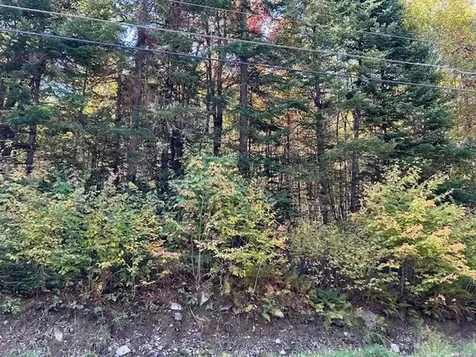 Lot 3 Spooner Road Pittsburg NH 03592