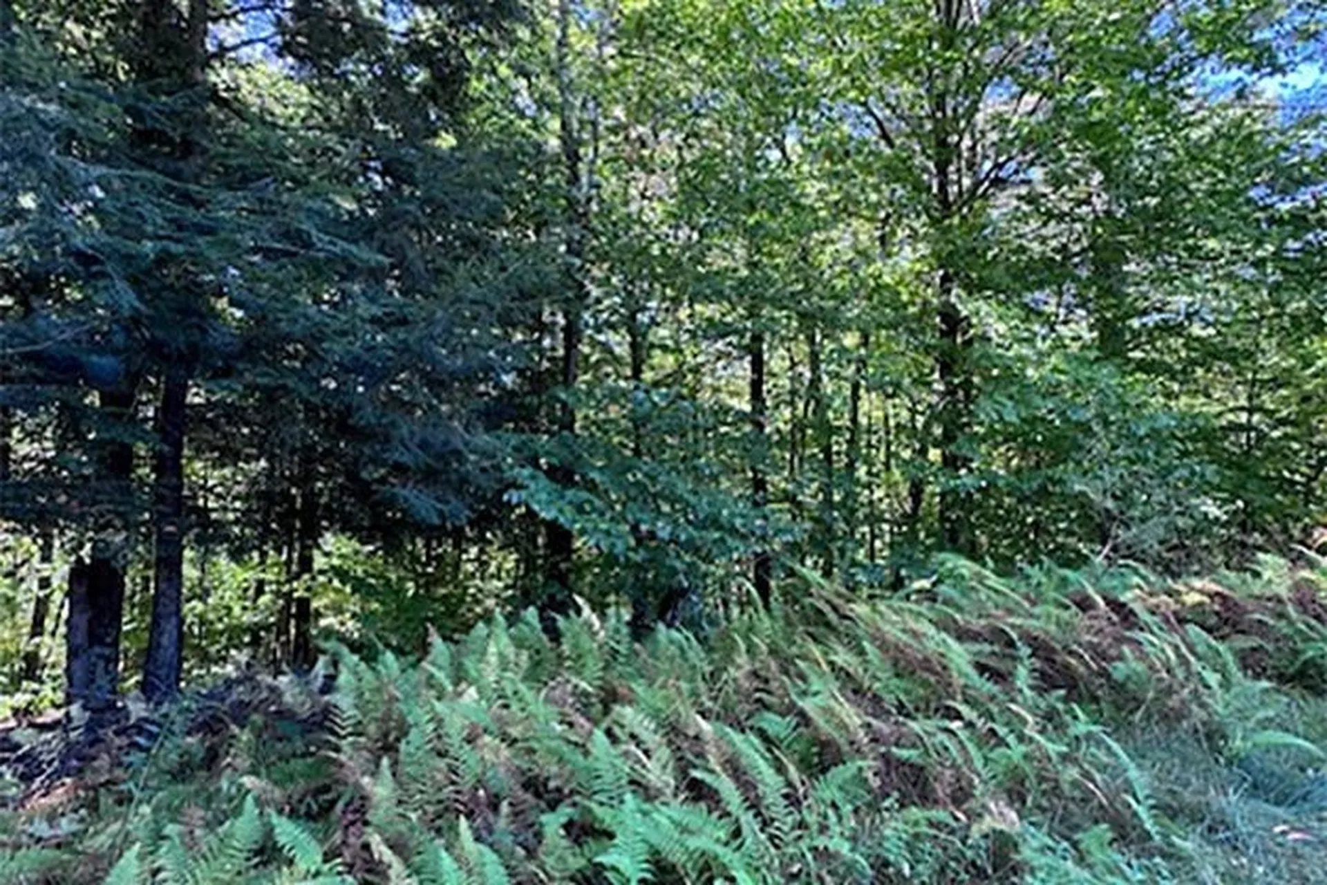 0 Horton Hill Chittenden VT 05737