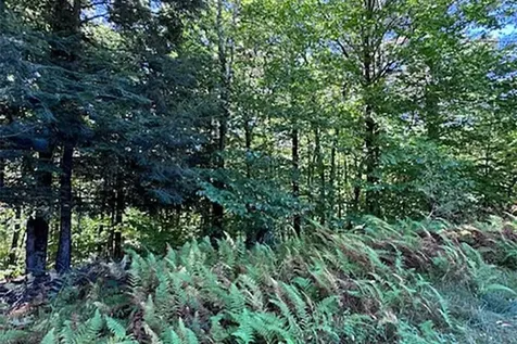 0 Horton Hill Chittenden VT 05737