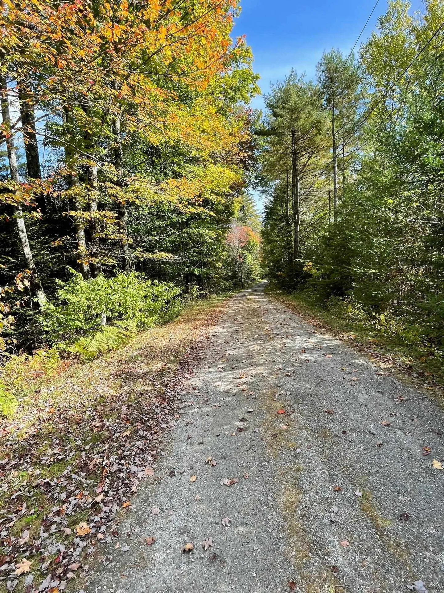 132 Pingree Park Lane Londonderry VT 05148