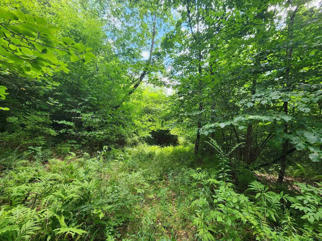 00 Eaton Avenue Springfield VT 05156