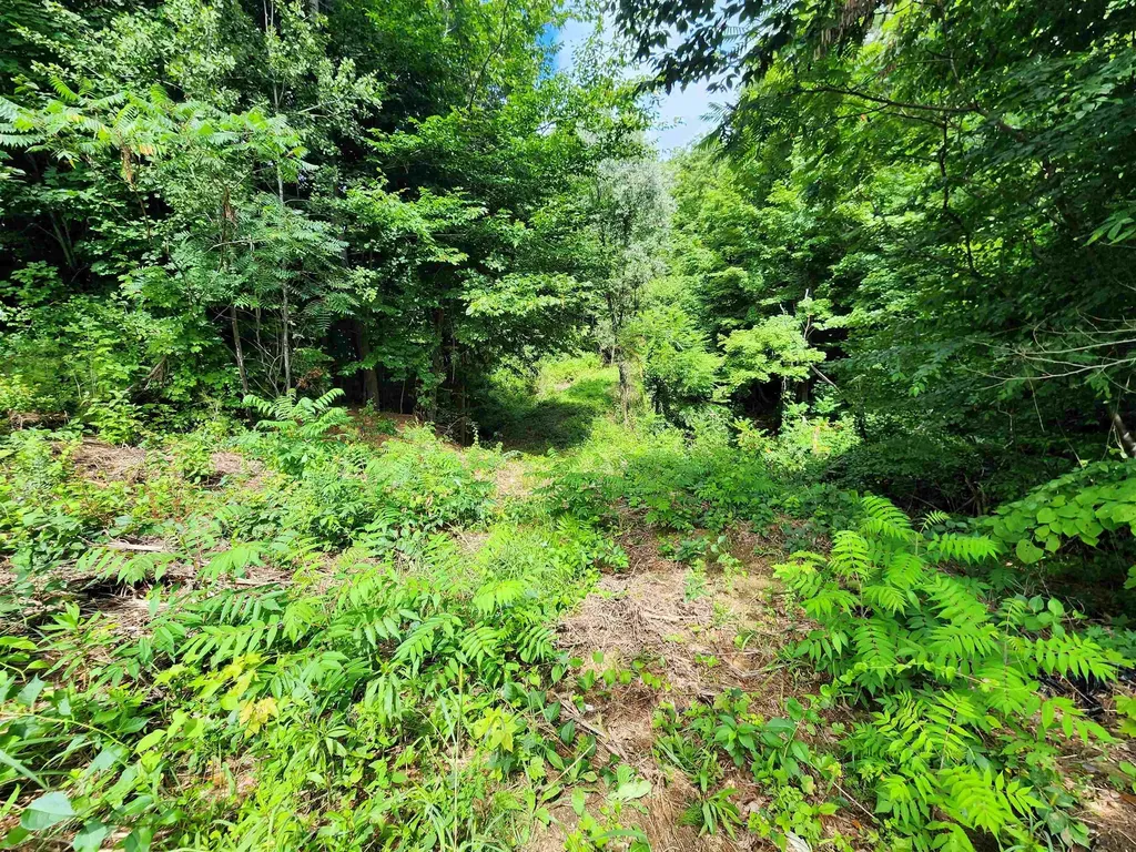 00 Eaton Avenue Springfield VT 05156