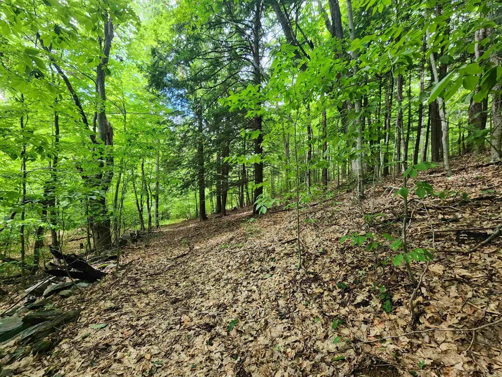 00 Eaton Avenue Springfield VT 05156